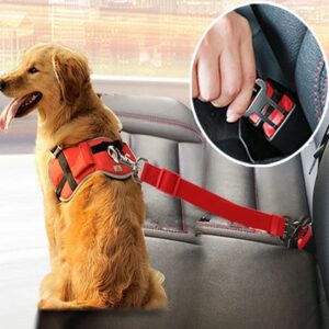 Ceinture de Sécurité pour Chien – Transport en toute sérénité